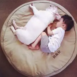  睿智情深历代名犬vs古灵精怪网红狗,这波cp有点料华元宠阅会