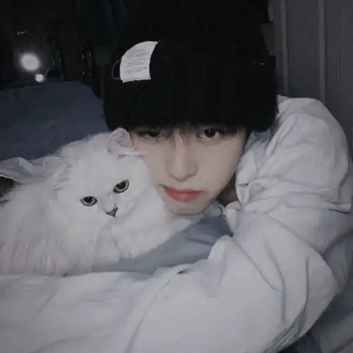 情侣头像jk男善良的男人