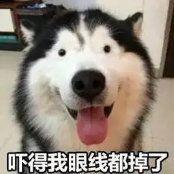  表情包哈士奇说它读书少,让我别骗他,但是哈士奇撕的书多去了