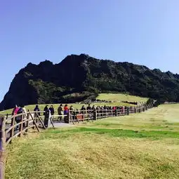  gojeju韩国济州5日自由行