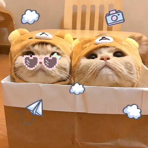  超可爱的小动物情头无水印