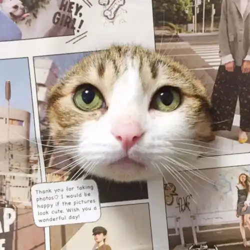 你说,那些甜到骨子里的恋爱,什么时候轮到我啊 你说,那些甜到骨子里的恋爱,什么时候轮到我啊