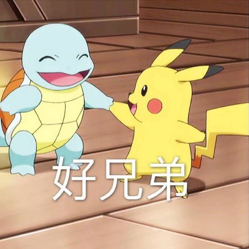 杰尼龟皮卡丘情侣头像