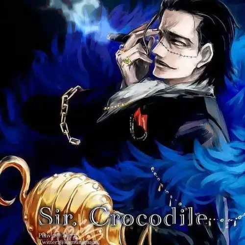  海贼王头像老沙