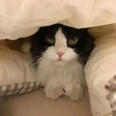 糖份很高的情侣头像和文案 糖份很高的情侣头像和文案