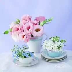  金牛角烤肉的腱子肉好不好吃用户评价口味怎么样牡丹江美食腱子肉实拍图片大众点评