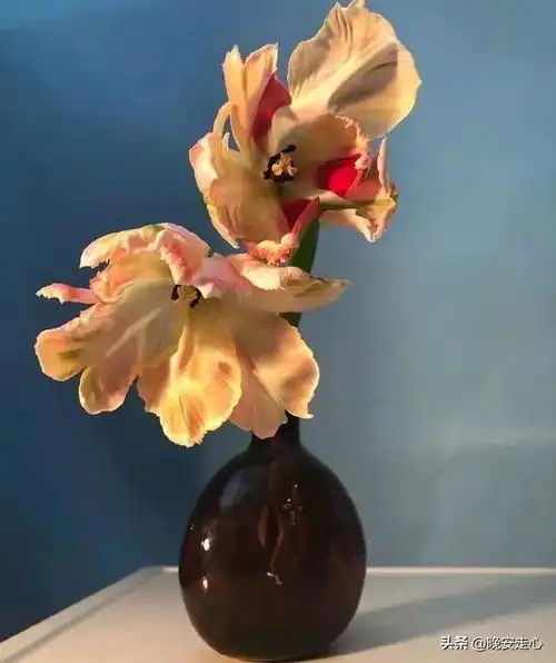  聪明的办法,总是手里的牌不多的人想出来的