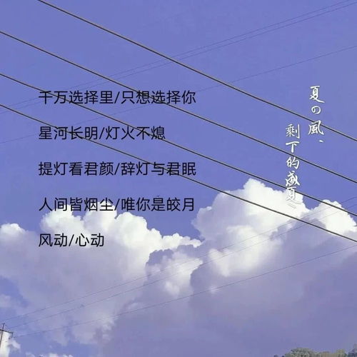  分享那些小众又好听的王者情侣id.