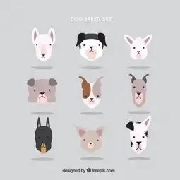  图片免费下载斗牛犬头像素材斗牛犬头像模板千图网