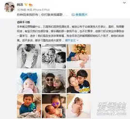  何洁三胎首曝光孩子父亲是谁个人资料背景曝光