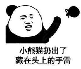  熊猫头搞怪专用卖萌表情小熊猫梳好了一个丸子头