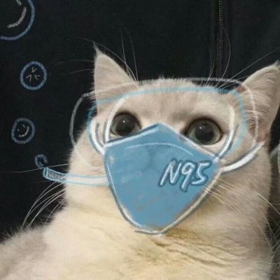  池乔爬爬可爱橘色猫猫情头自加情侣头像我要个性网