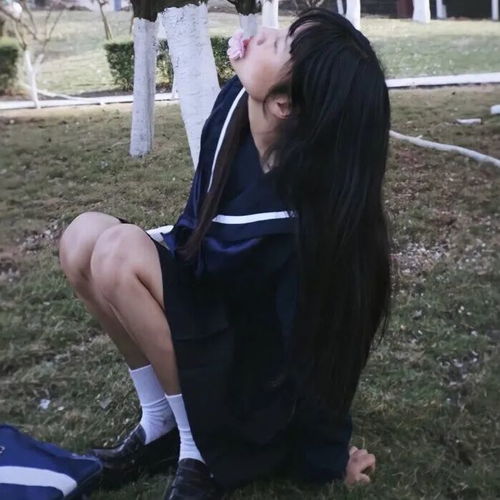  每日头像