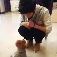 大灰狼威猛奸杀威狗狗小绵羊强悍枪杀强哞哞 大灰狼威猛奸杀威狗狗小绵羊强悍枪杀强哞哞