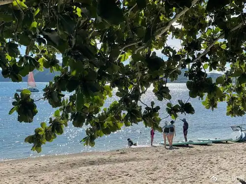  马伊琍在上海坐公交打扮朴素身形削瘦脸颊凹陷
