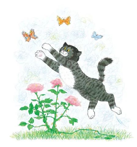  你会答应孩子养猫吗