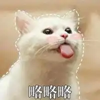 可爱情侣头像动物表情