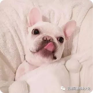  高原特色产品交易会暨七夕美食狂欢节爱心接力第一季