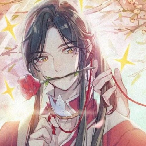  天官赐福谢怜花城绝美头像第一弹天官赐福谢怜头像