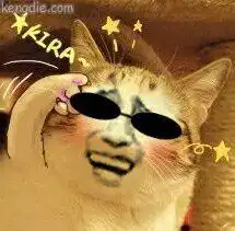  猫咪戴墨镜表情包