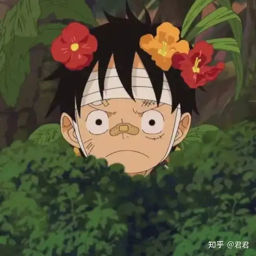  海贼王头像海贼王爆帅头像海贼王炫酷头像路飞治愈笑容的头像