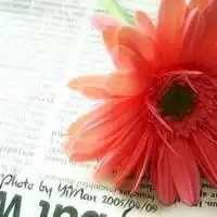  适合花语倾诉心梦言爱慕情的情侣个性签名