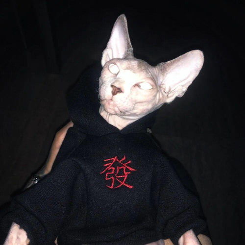  头像大全多系列个性头像超级温柔干净的文案短句