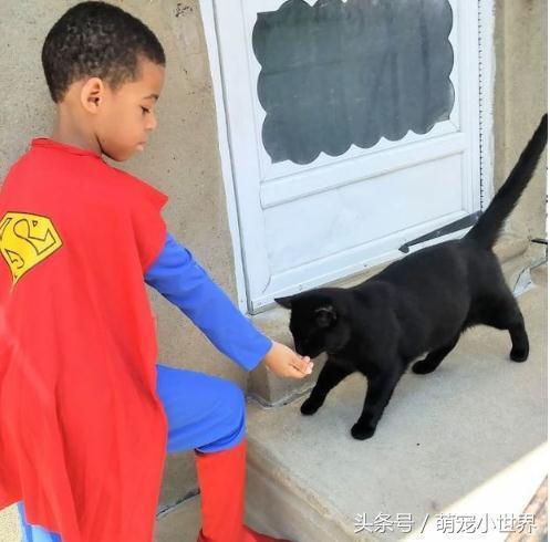  5岁男孩为帮流浪猫想到一个好办法,他用天赋帮助猫咪成小英雄