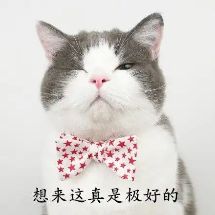  巨乳养成记之说说养脾的小常识