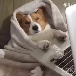  明天这会不会是你默默地有股淡淡的的忧伤