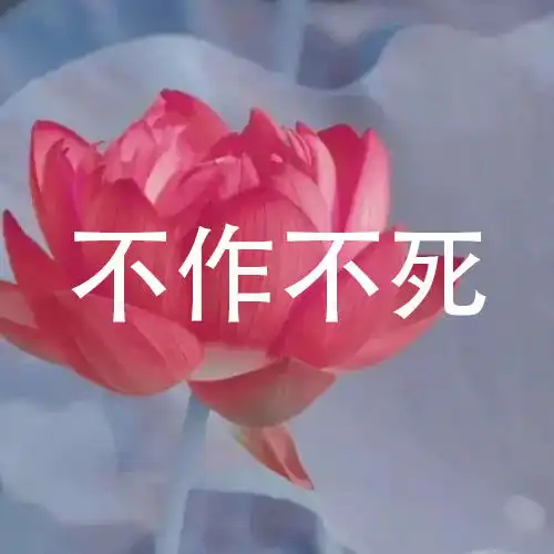  微信头像荷花并配字荷花头像带字佛系静心