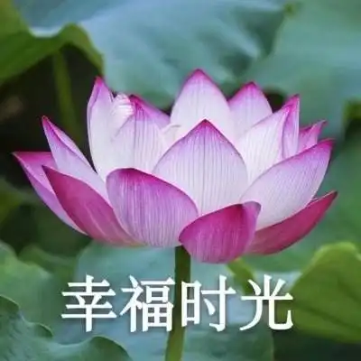  亚博网站登录