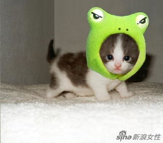  这个世界太疯狂搞笑图片都能笑断肠
