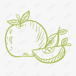  手绘苹果线条矢量插画素材图片免费下载高清psd千库网图片编号9932177