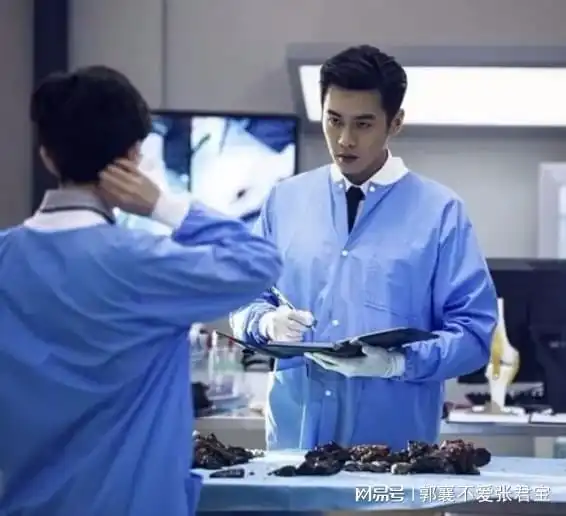 可爱情侣头像动物法医秦