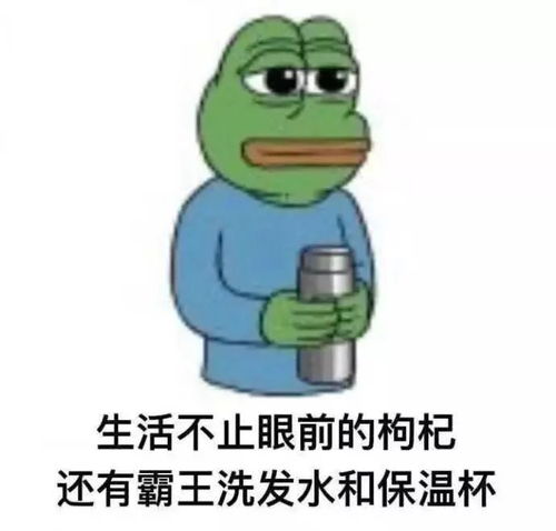  不适合练瑜伽仙女们还可以选择