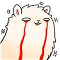  萌哒哒羊驼情侣头像图片微信头像图片大全