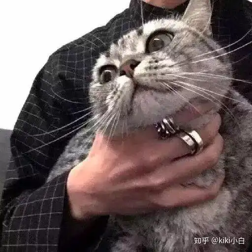  日月既往,不可复追做更好的自己