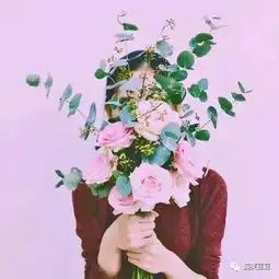  愿你出走半生,归来仍是少年