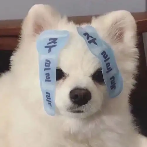  超可爱的小动物头像