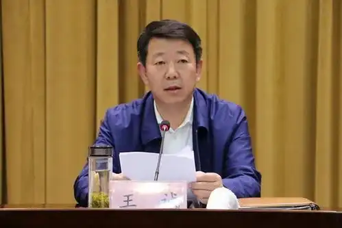王诚落马,在500强企业担任一把手一年后被换  王诚落马,在500强企业担任一把手一年后被换