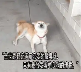  铜冠花园遇见爱大型相亲活动为爱放绝招