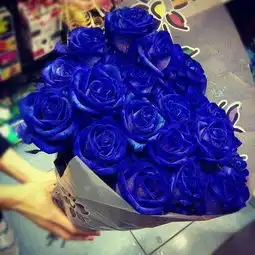  请问这是什么花