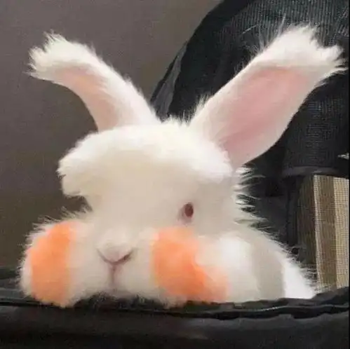 100张微信头像,5大系列任你挑选 100张微信头像,5大系列任你挑选