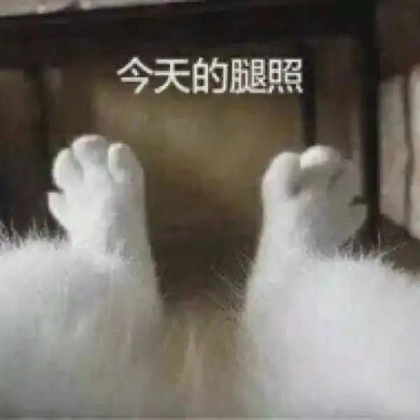  杨紫突然瘦过周冬雨可转身一看好吓人