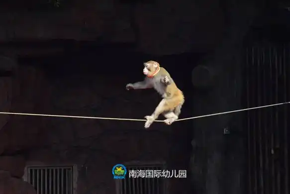 bb长鹿农庄亲子乐 bb长鹿农庄亲子乐