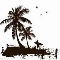 微信椰子树头像高清椰子树微信头像  微信椰子树头像高清椰子树微信头像