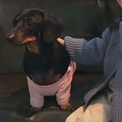  qq情侣一男一女头像,不要拿我跟任何人比