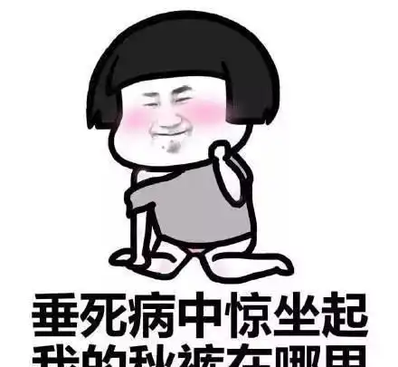  又到了猫咪农民揣的季节,它们为什么喜欢这个动作呢