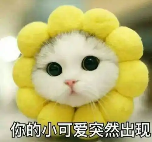  再上6天班,洛阳人集体放假这笔钱将陆续到账,赶紧看看你有没有